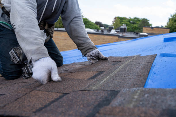 Best Storm Damage Roof Repair  in Memphis, MI