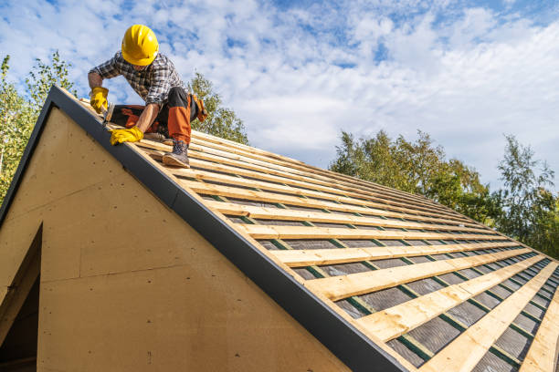 Roof Gutter Cleaning in Memphis, MI