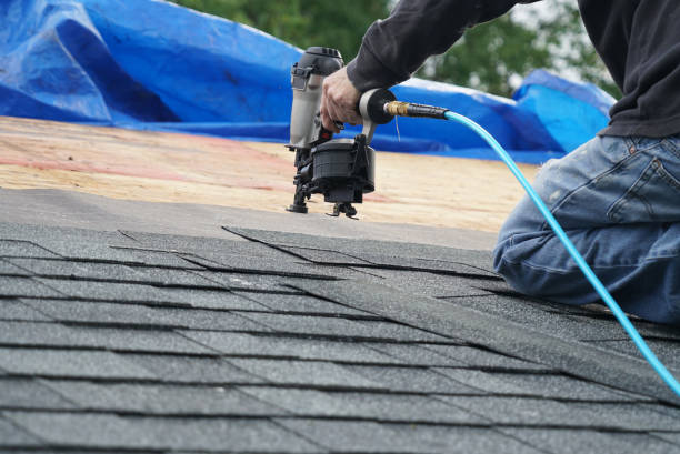 Roof Gutter Cleaning in Memphis, MI