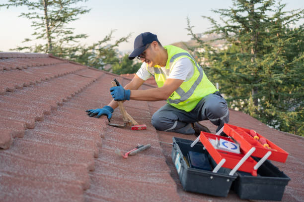 Best Roof Leak Repair  in Memphis, MI